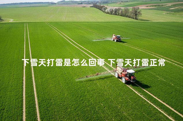 下雪天打雷是怎么回事 下雪天打雷正常吗